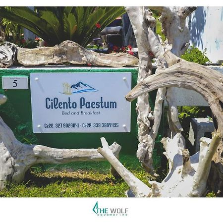 B&B Cilento Паестум Екстериор снимка