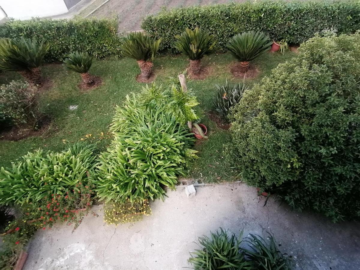 B&B Cilento Паестум Екстериор снимка