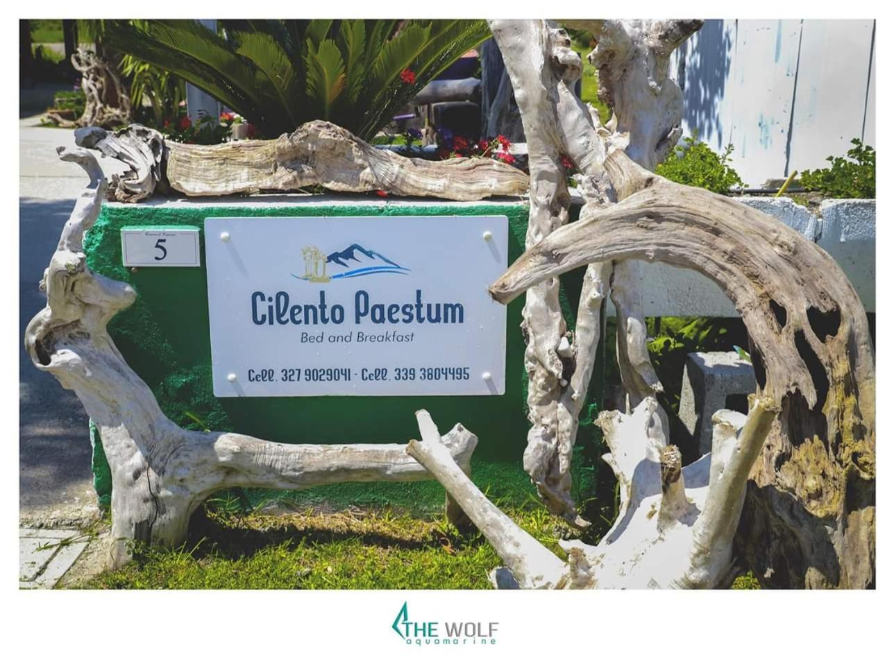 B&B Cilento Паестум Екстериор снимка