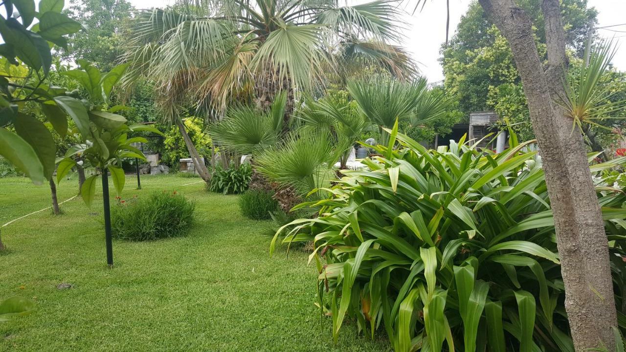 B&B Cilento Паестум Екстериор снимка